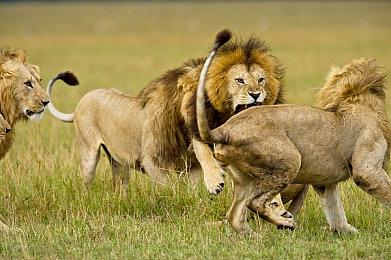 万代南梦宫公布《海贼无双4》DLC角色乌塔