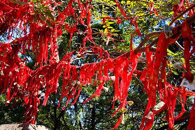 《四海兄弟：故乡》首批媒体评分出炉 IGN 8分